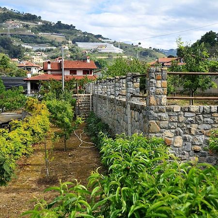Le Rose Villa San Biagio della Cima Exteriör bild