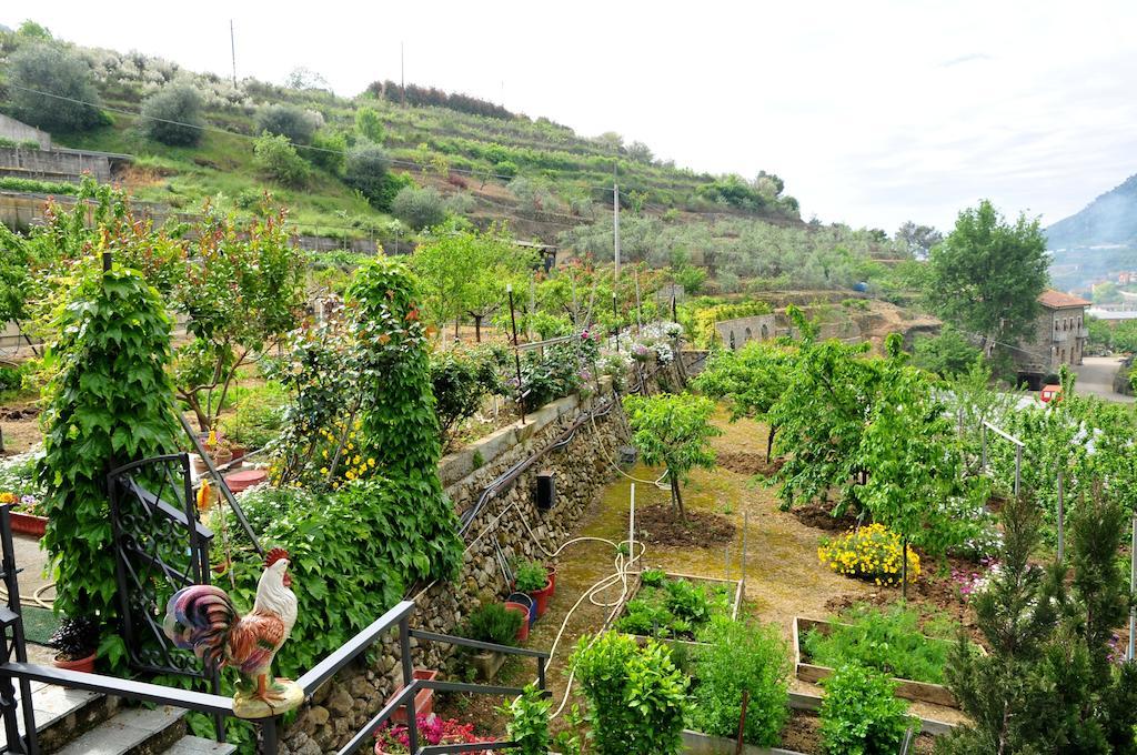 Le Rose Villa San Biagio della Cima Exteriör bild