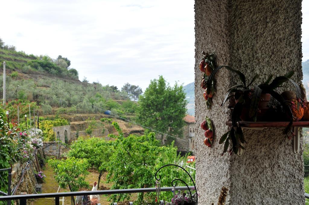 Le Rose Villa San Biagio della Cima Exteriör bild