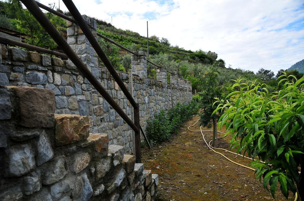 Le Rose Villa San Biagio della Cima Exteriör bild